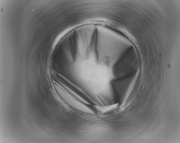 X0000081560960200701291146