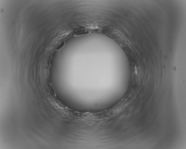 X0000081560961200701291145