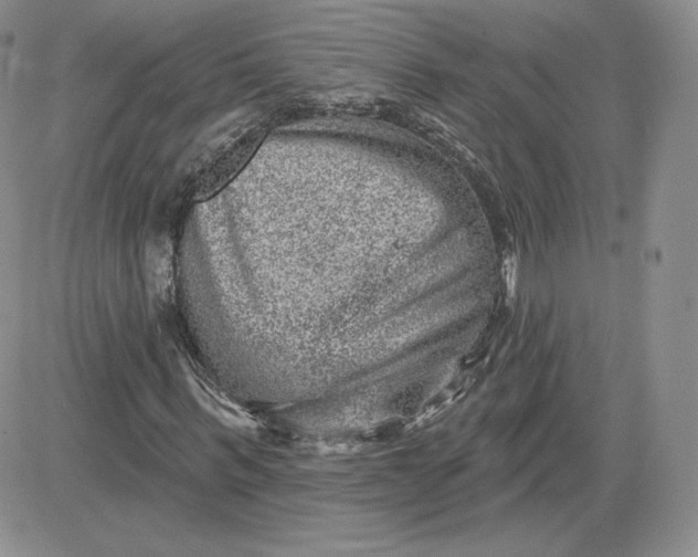 X0000081560963200701291145