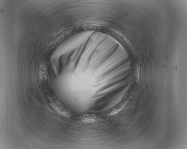 X0000081560964200701291145