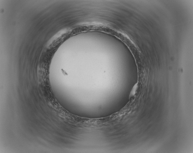 X0000081560967200701291145