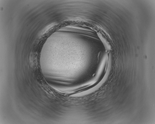 X0000081560968200701291145