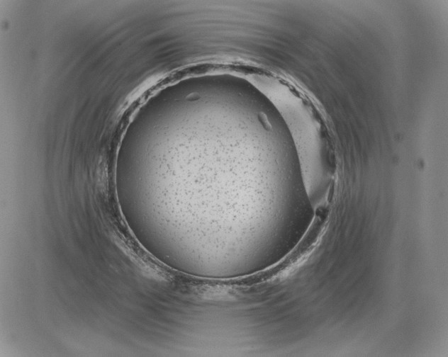 X0000081560969200701291145