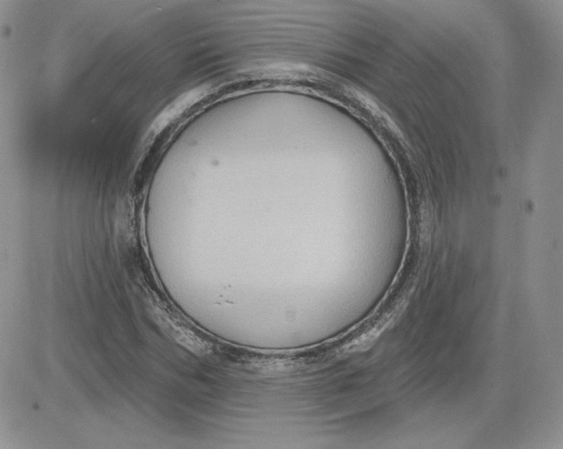 X0000081560970200701291145