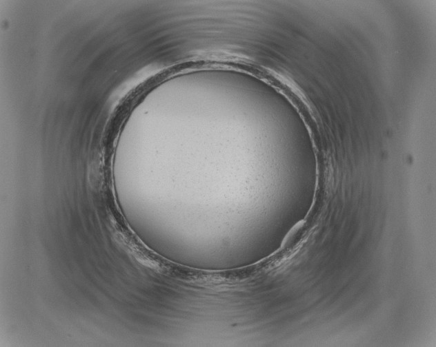 X0000081560971200701291145