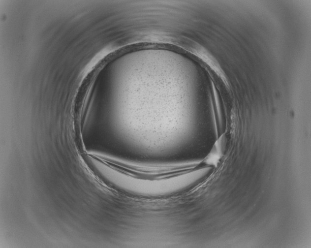 X0000081560972200701291145