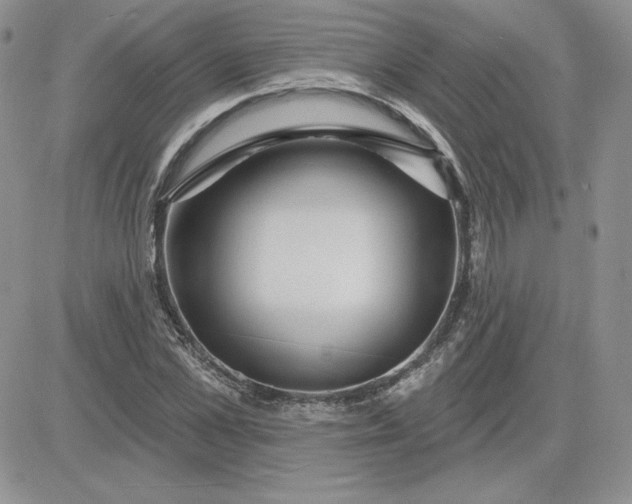 X0000081560973200701291145