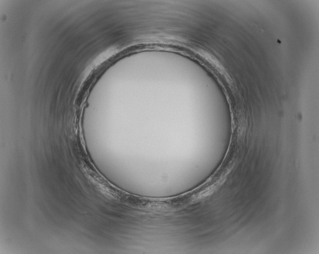 X0000081560974200701291145