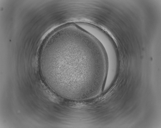 X0000081560975200701291145