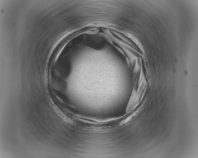 X0000081560976200701291145