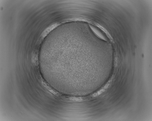 X0000081560977200701291145