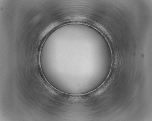 X0000081560978200701291145