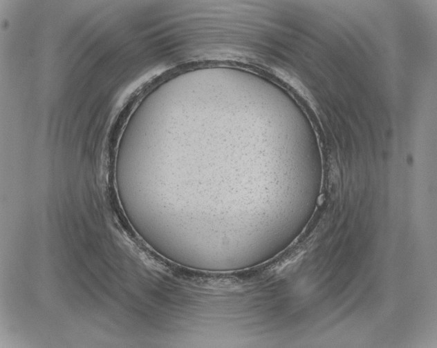 X0000081560979200701291145