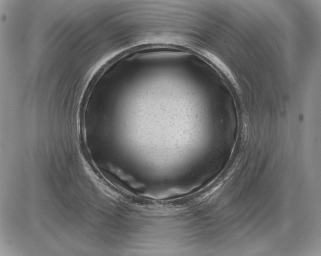 X0000081560980200701291145