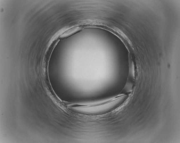 X0000081560981200701291145