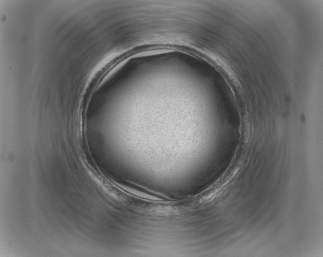 X0000081560982200701291145