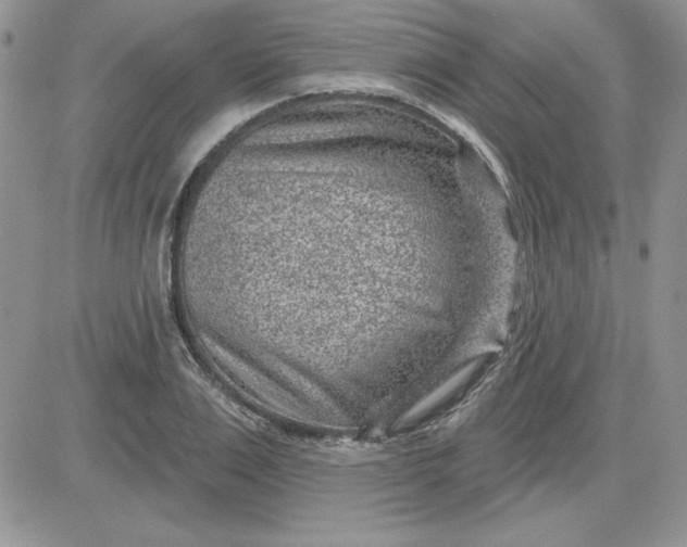 X0000081560983200701291145