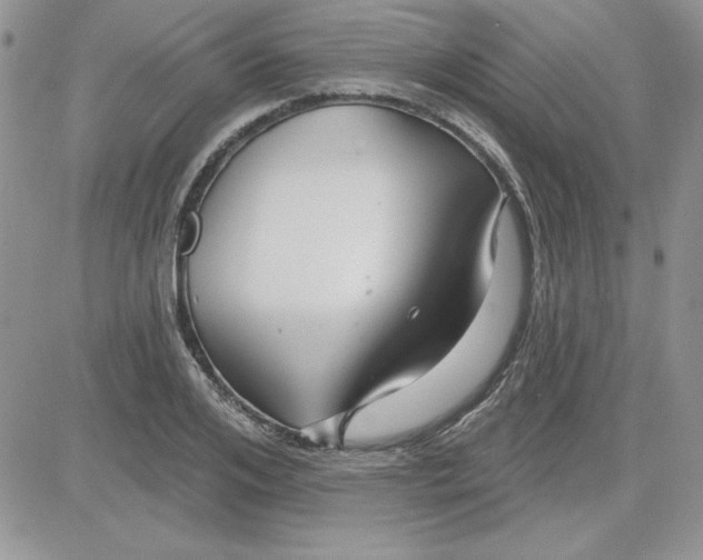 X0000081560984200701291145