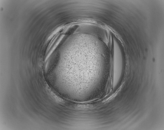 X0000081560985200701291145