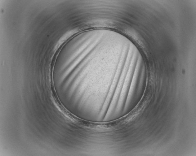 X0000081560986200701291145