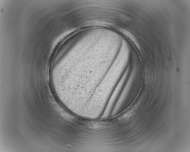 X0000081560987200701291145