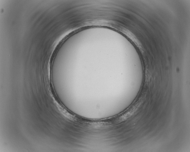 X0000081560988200701291145