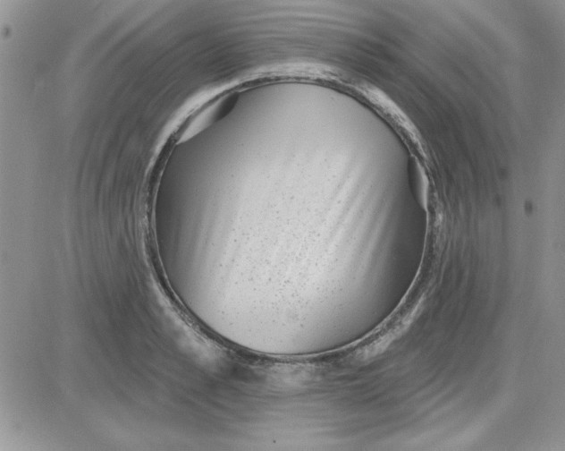 X0000081560989200701291145