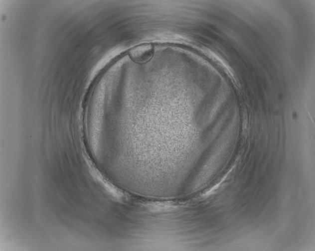 X0000081560990200701291145