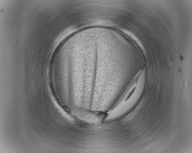 X0000081560991200701291145