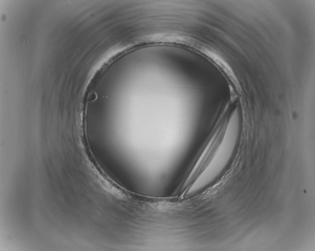 X0000081560992200701291145