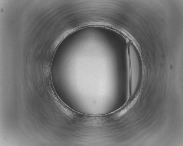 X0000081560993200701291145