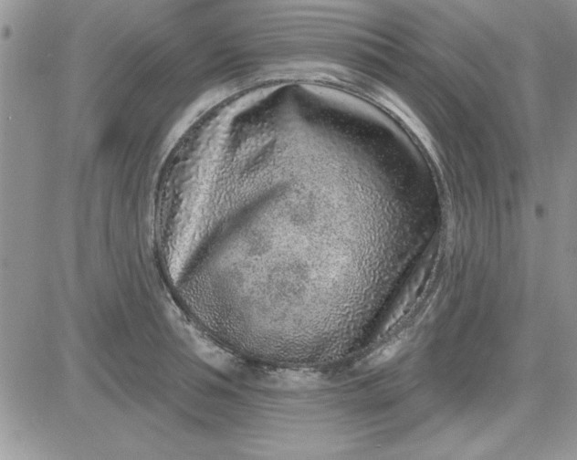 X0000081560994200701291145