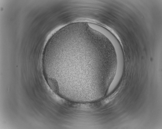 X0000081560995200701291145