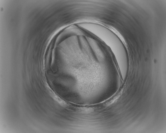 X0000081560996200701291145