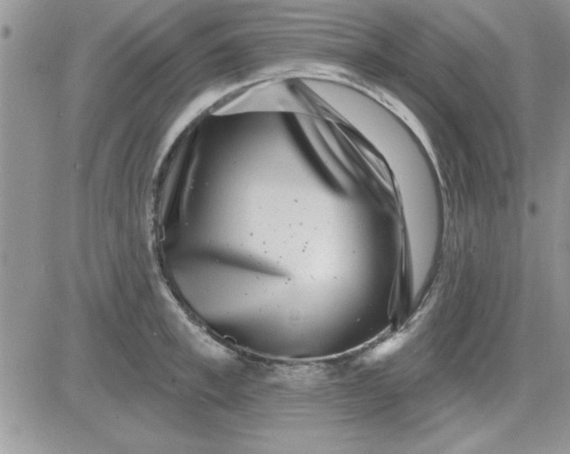 X0000081560997200701291145