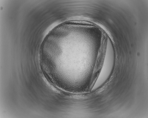 X0000081560998200701291145