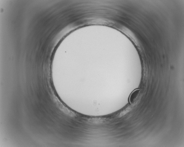 X0000081561000200701291145