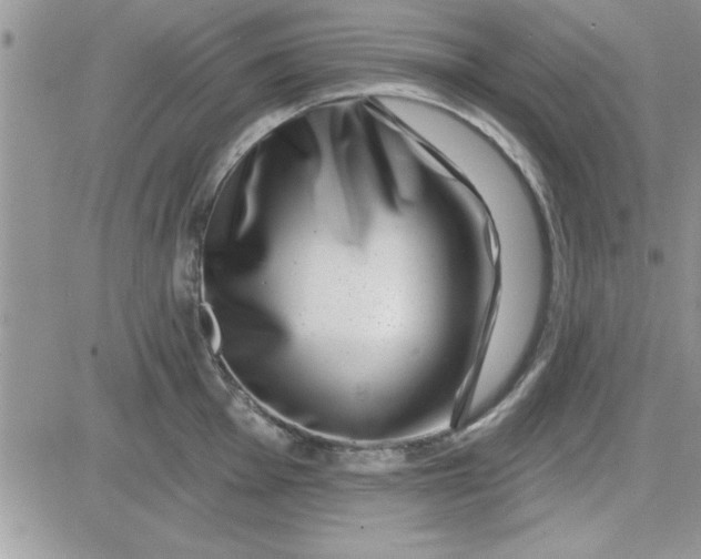 X0000081561001200701291145