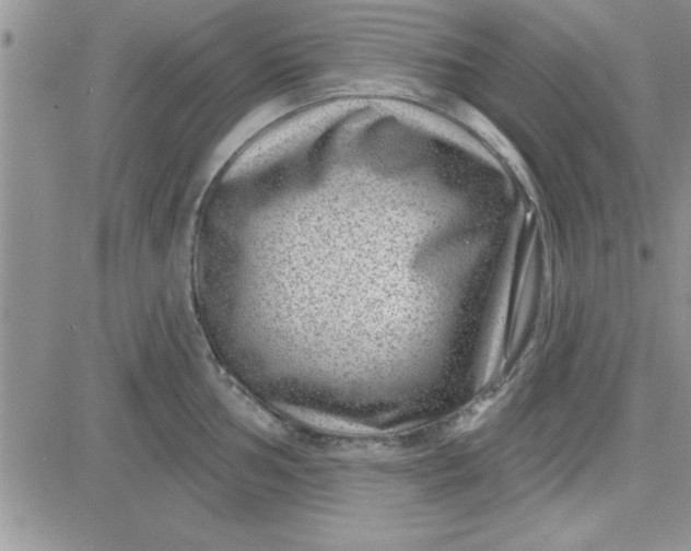 X0000081561002200701291145