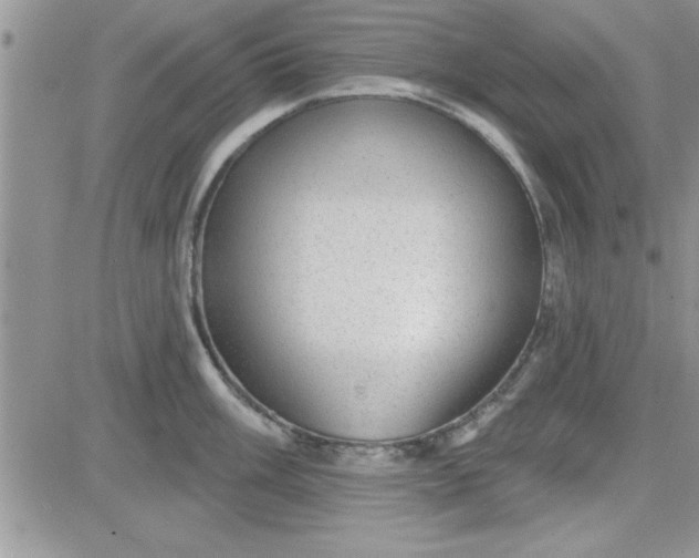 X0000081561003200701291145