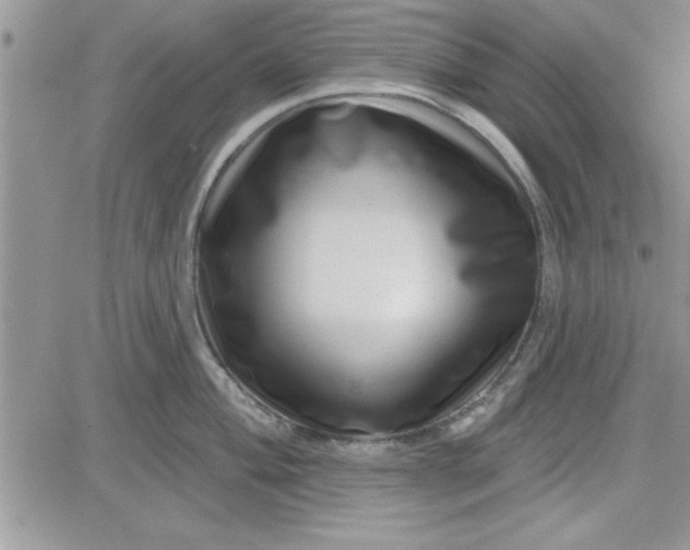 X0000081561004200701291145