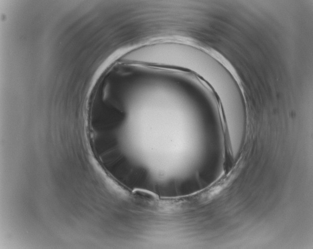 X0000081561005200701291145