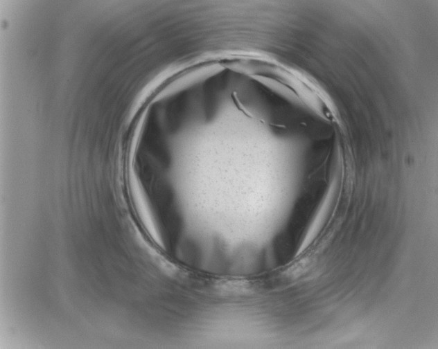 X0000081561006200701291145