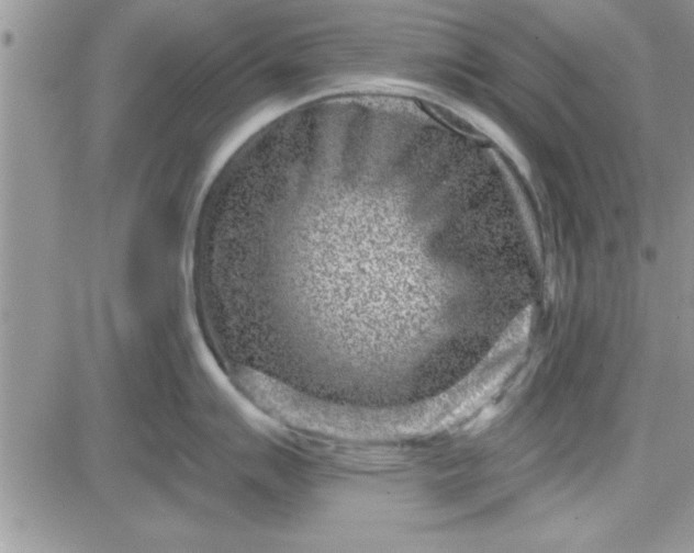 X0000081561007200701291145