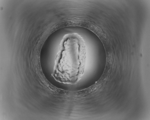 X0000081561009200701291144