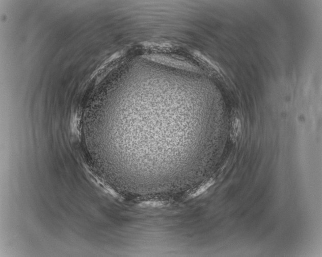 X0000081561010200701291144