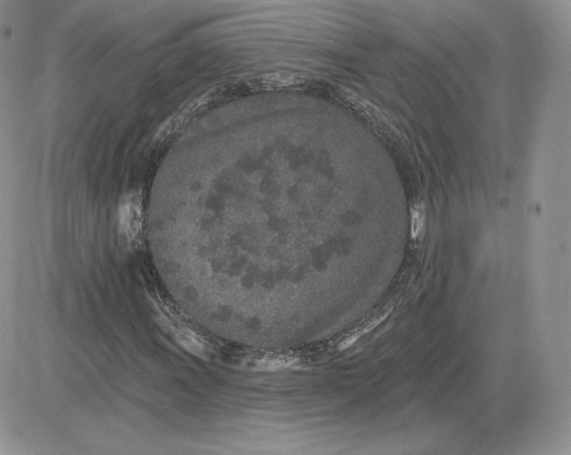 X0000081561011200701291144