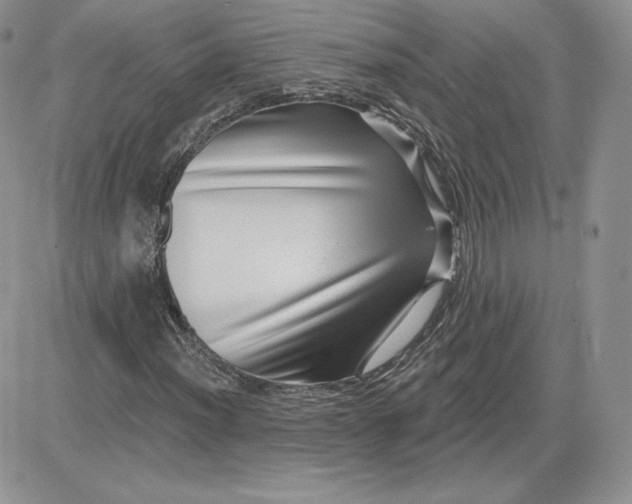 X0000081561012200701291144