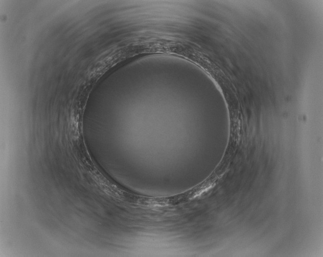 X0000081561013200701291144