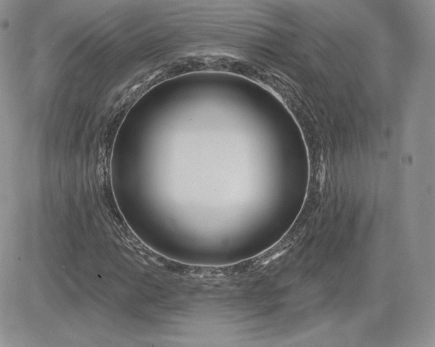 X0000081561014200701291144